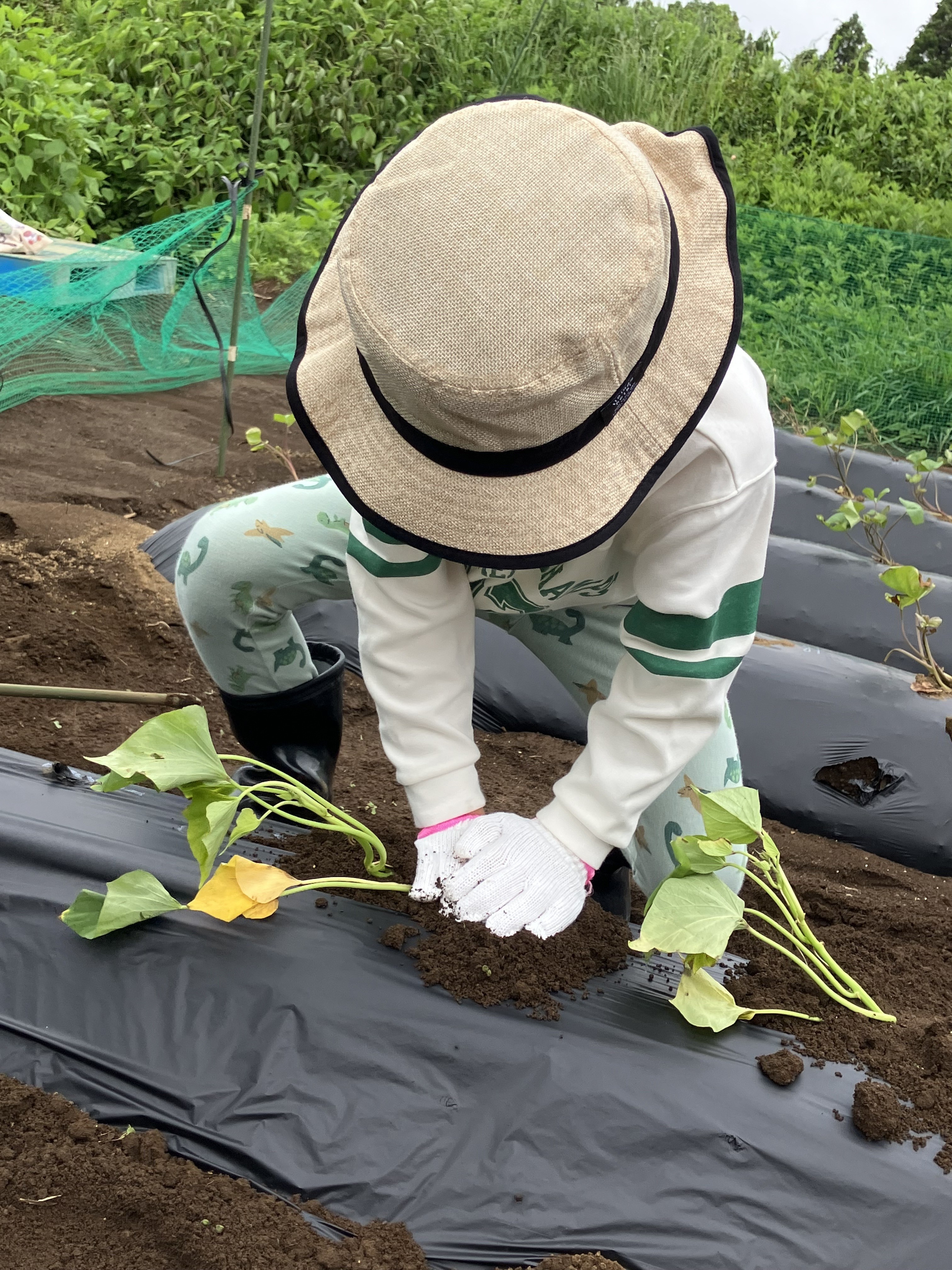 ちいさな農家さん③