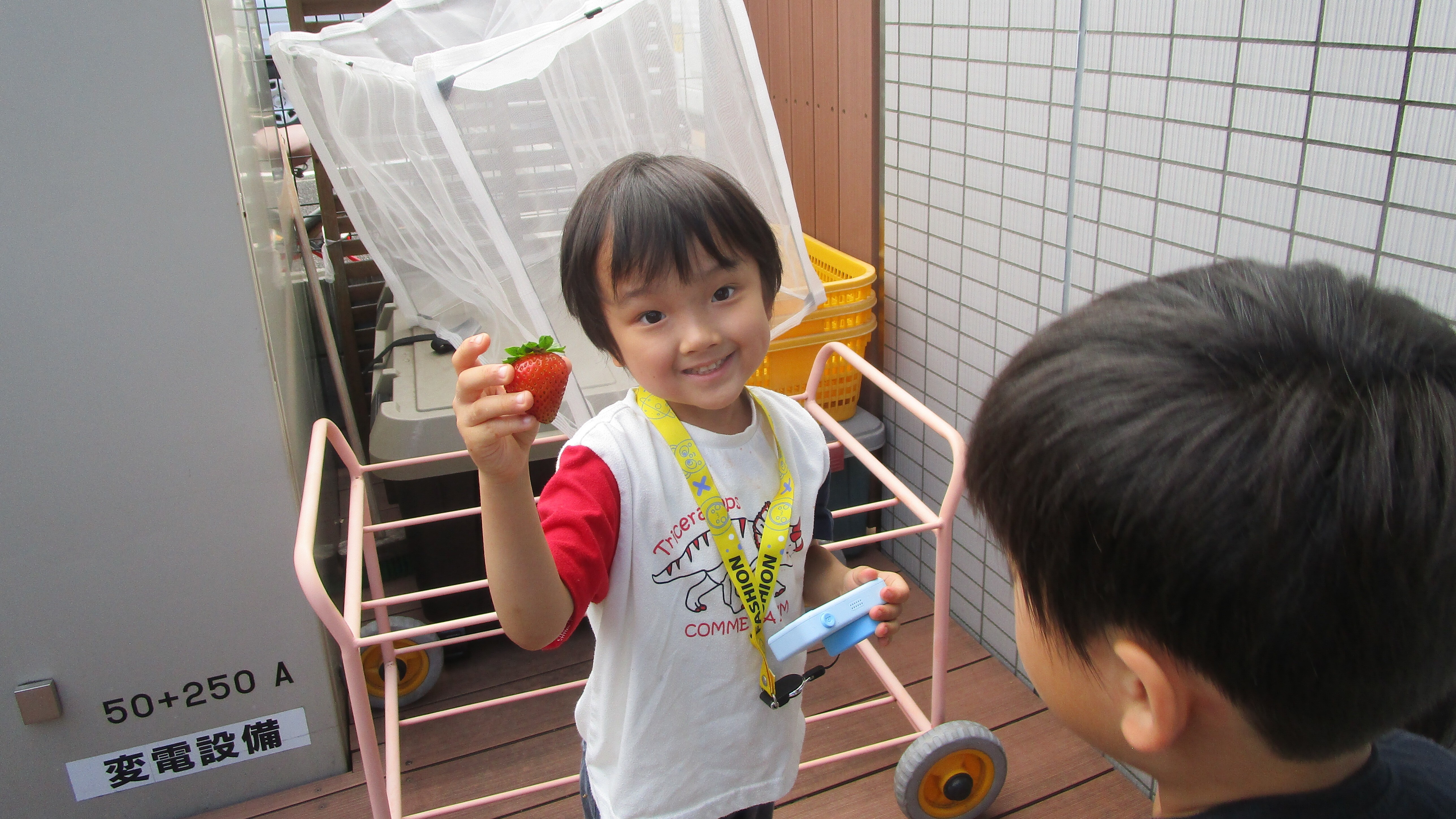 いちごを収穫した子ども