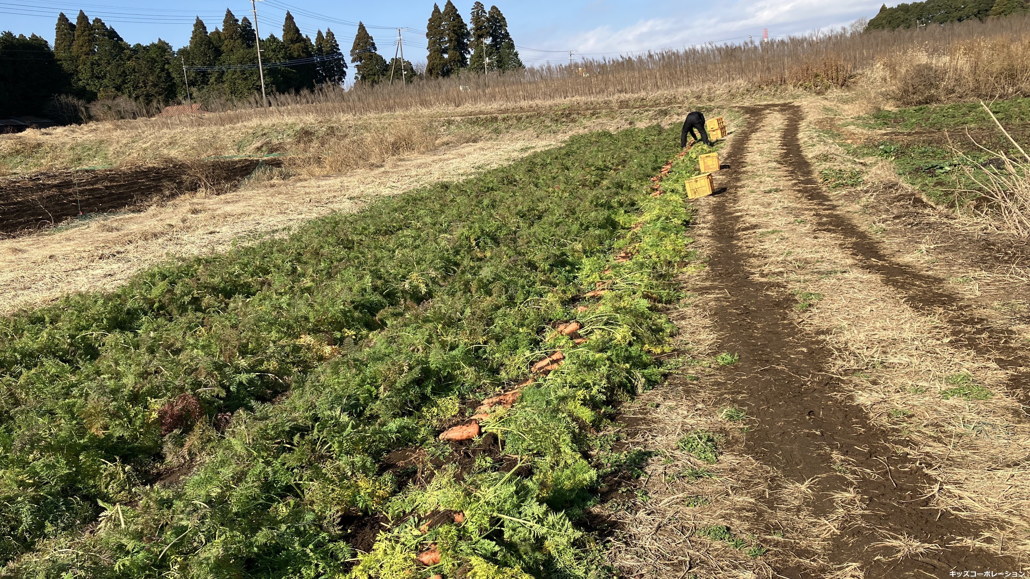キッズファームから変わらぬ味と愛情を届けます