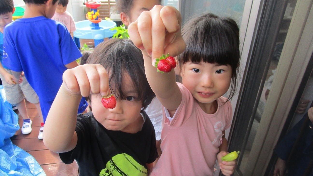 いちごを収穫した子どもたち