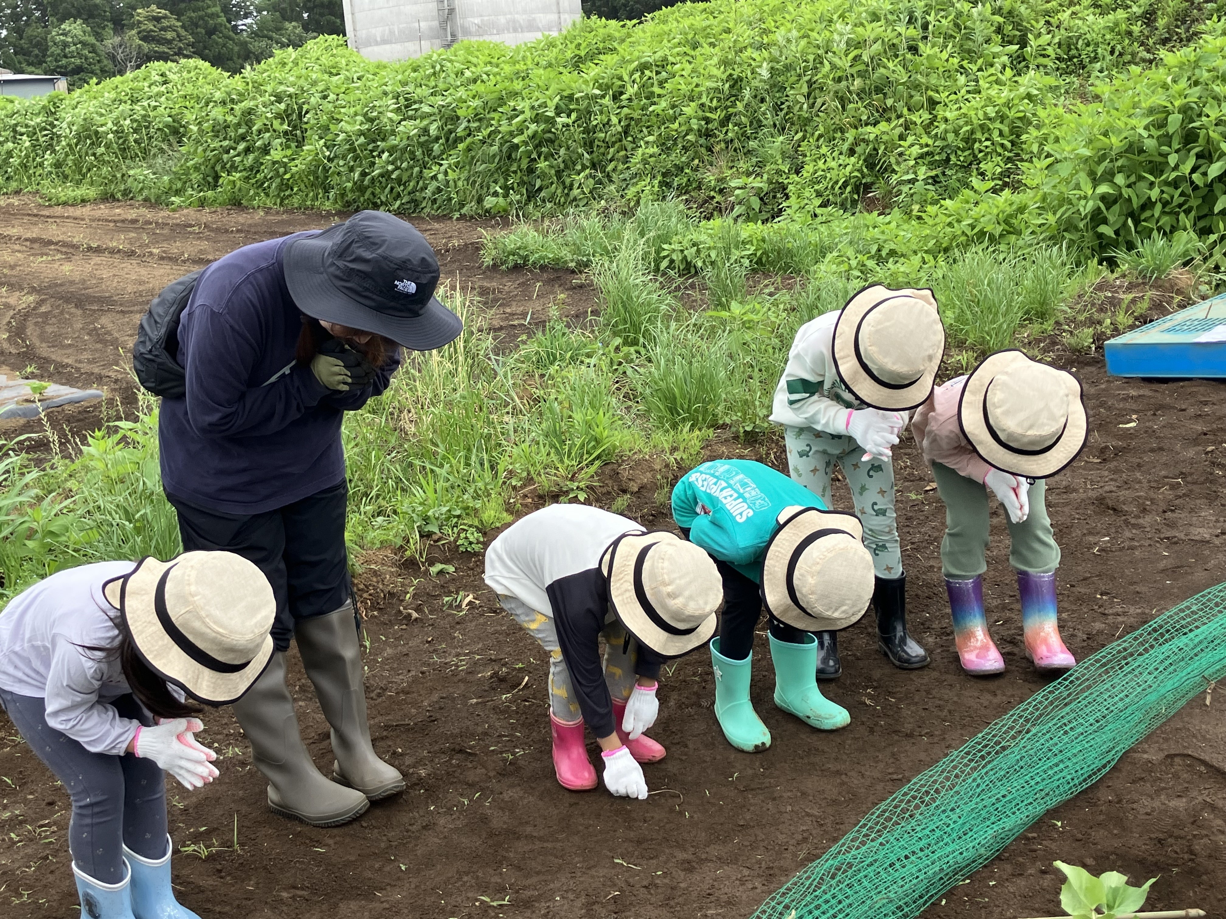 「おおきくなあれ」お願い姿