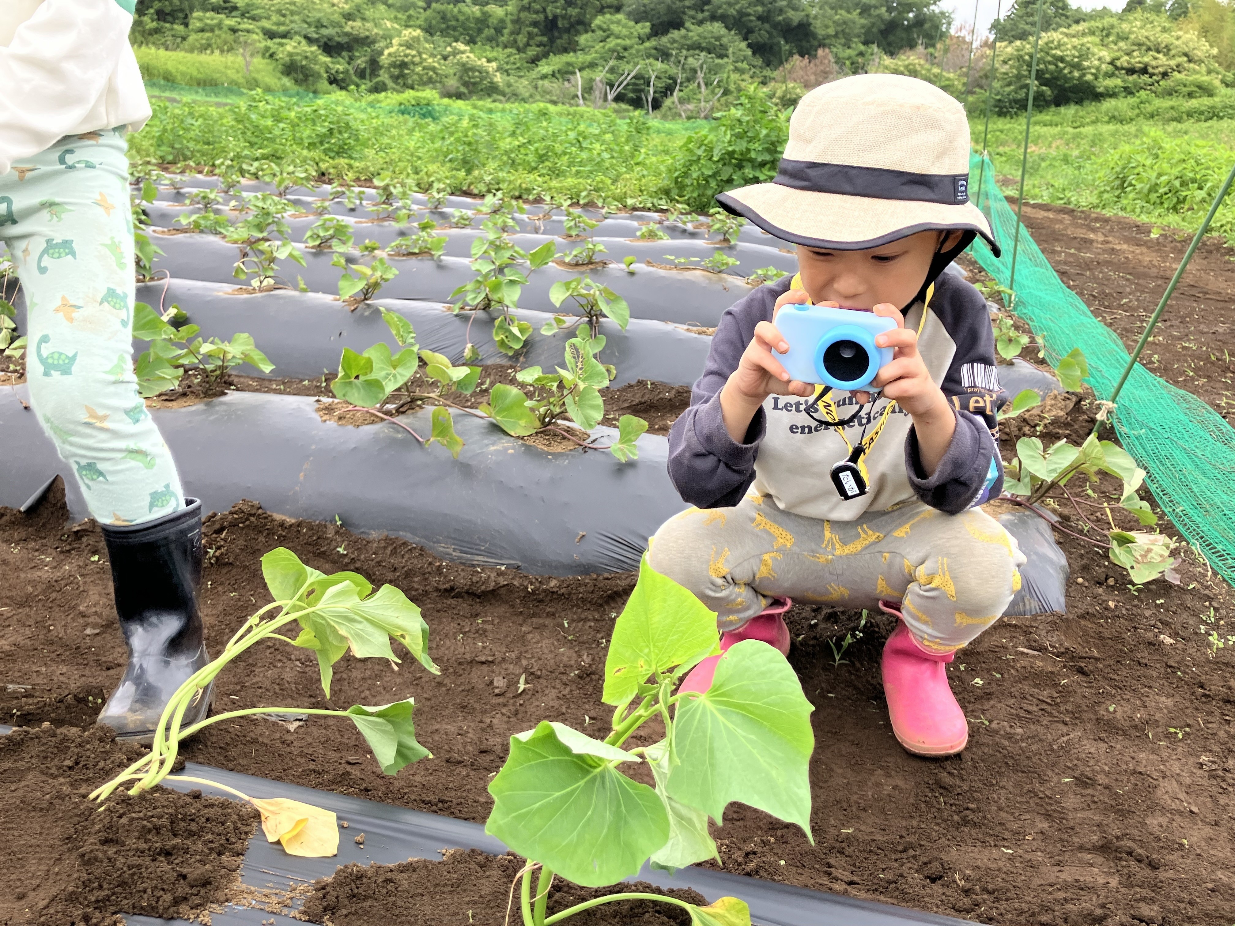 カメラで撮影