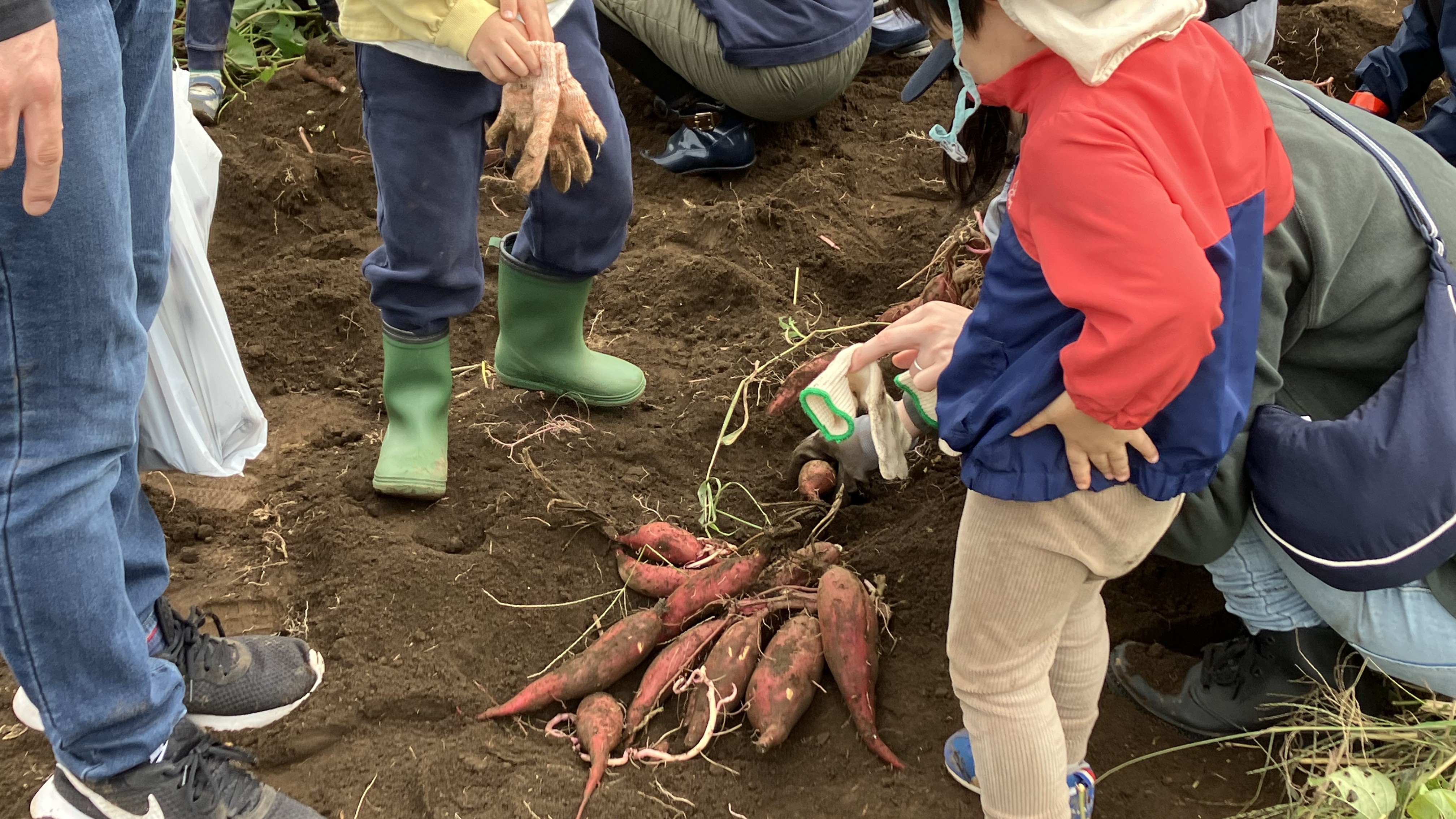 楽しむ、学ぶ、味わう、実り多い収穫体験