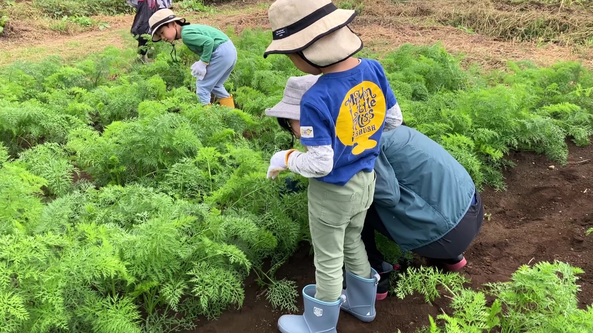 にんじんを探す子ども