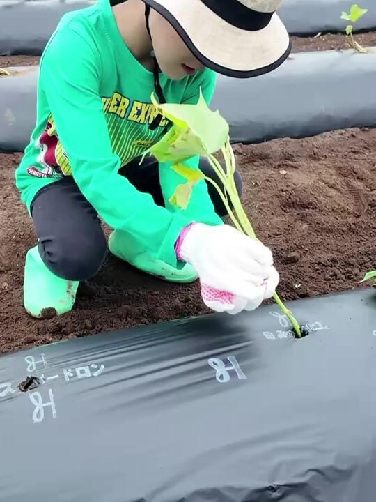 ちいさな農家さん①