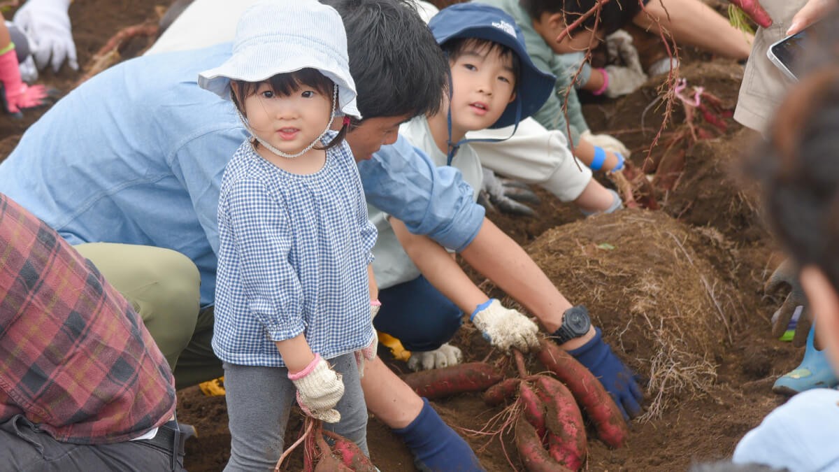 大空と大地のなーさりぃの畑に広がる食育の輪っか