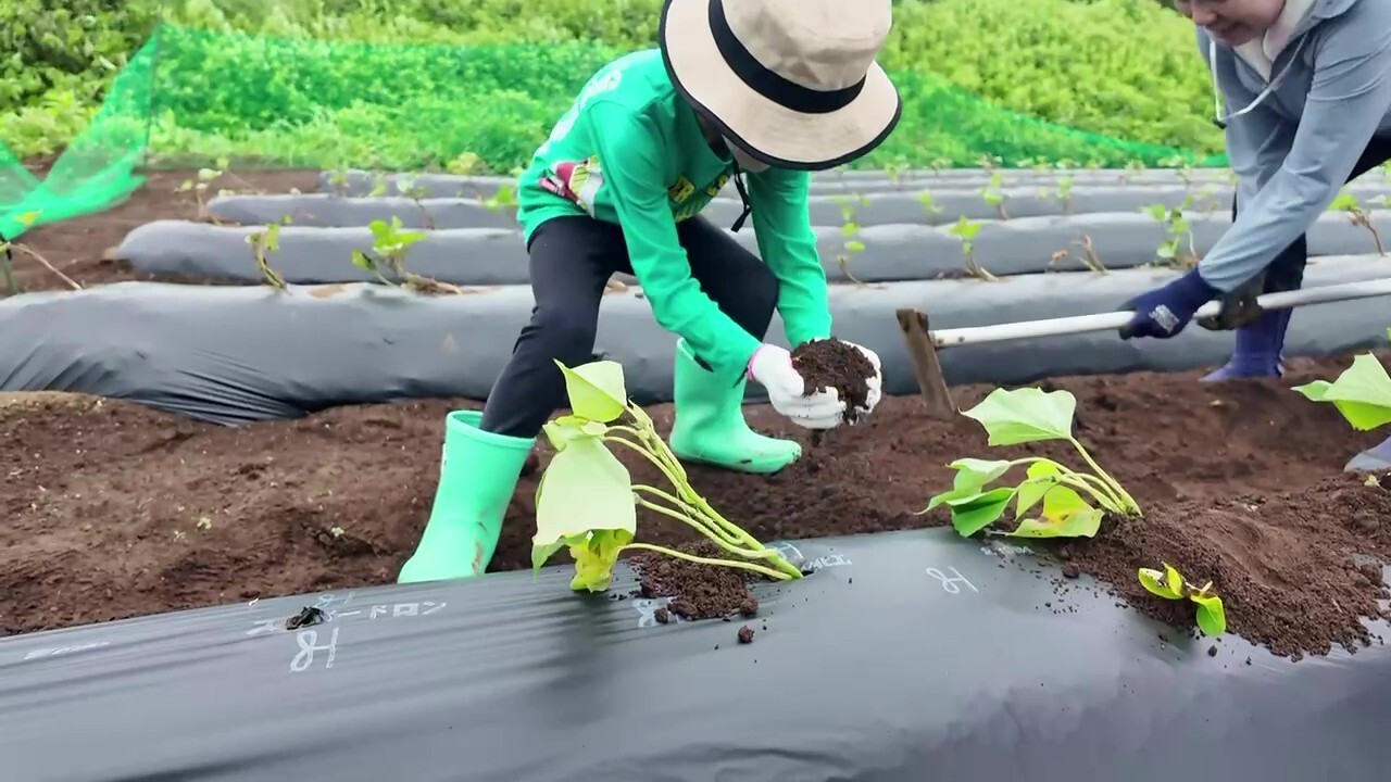 広がり続ける食育の輪っか～中野富士見町駅前園のちいさな農家さん　後編～